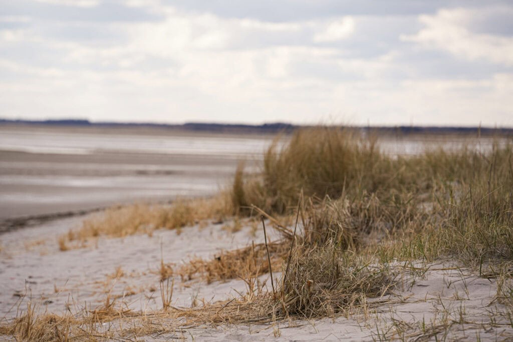 Badestrand ved Dronninglund Efterskole med sand, græsbeklædte højdedrag og havudsigt.