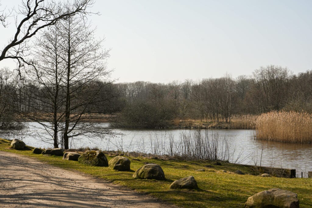 Ro i Dronninglund Efterskole med natur og vand, ideelt for undervisning og fritid.
